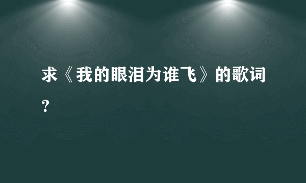 求《我的眼泪为谁飞》的歌词？