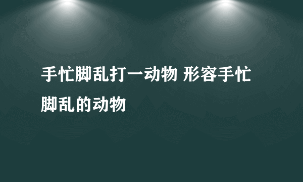 手忙脚乱打一动物 形容手忙脚乱的动物
