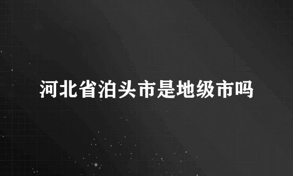 河北省泊头市是地级市吗