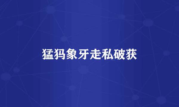 猛犸象牙走私破获
