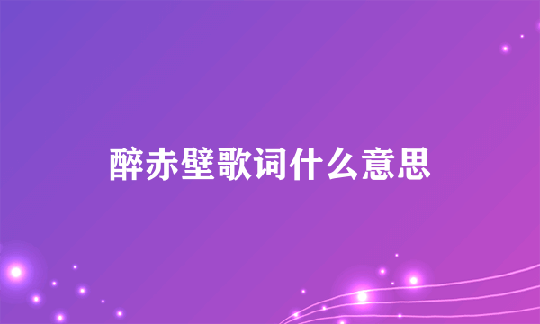 醉赤壁歌词什么意思