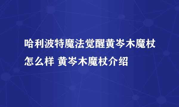 哈利波特魔法觉醒黄岑木魔杖怎么样 黄岑木魔杖介绍