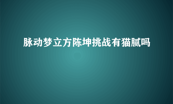 脉动梦立方陈坤挑战有猫腻吗