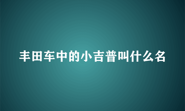 丰田车中的小吉普叫什么名