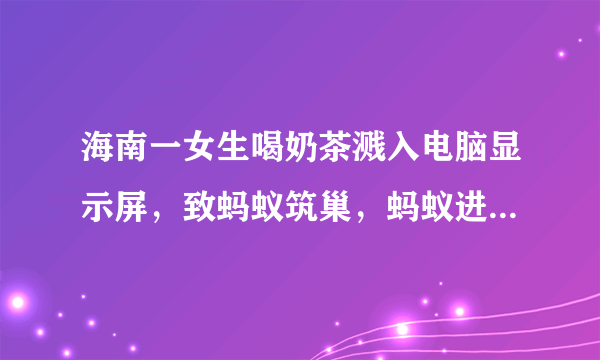 海南一女生喝奶茶溅入电脑显示屏，致蚂蚁筑巢，蚂蚁进入电脑中该怎么办？