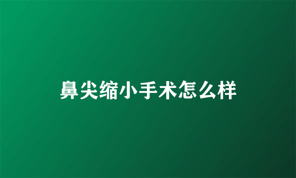 鼻尖缩小手术怎么样