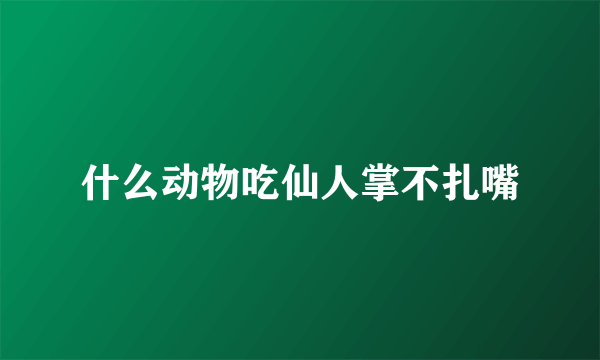 什么动物吃仙人掌不扎嘴