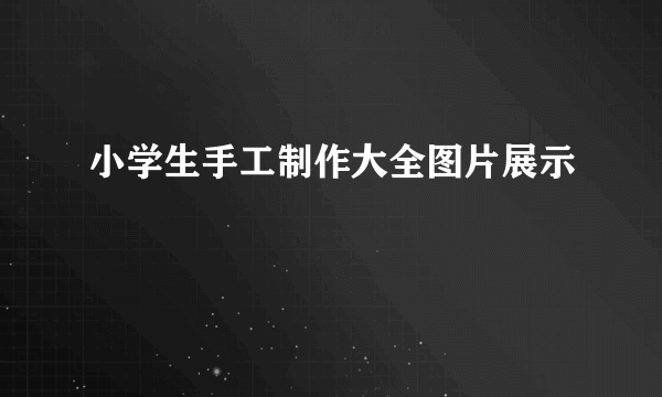 小学生手工制作大全图片展示