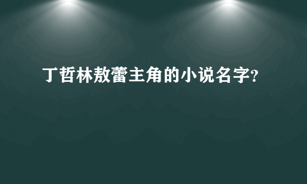 丁哲林敖蕾主角的小说名字？