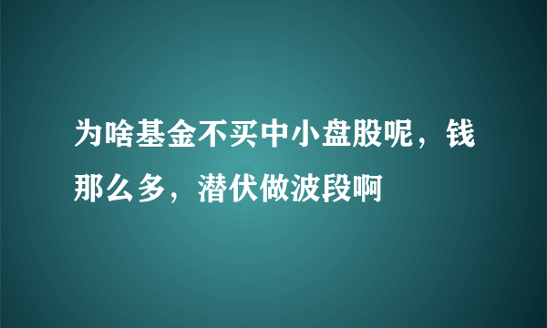为啥基金不买中小盘股呢，钱那么多，潜伏做波段啊