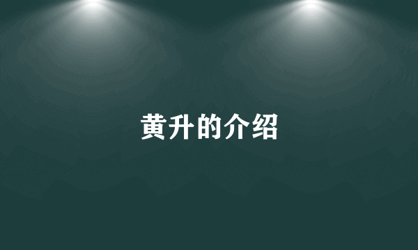 黄升的介绍