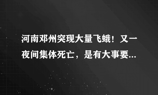 河南邓州突现大量飞蛾！又一夜间集体死亡，是有大事要发生吗？