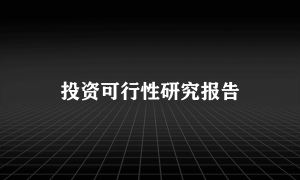 投资可行性研究报告
