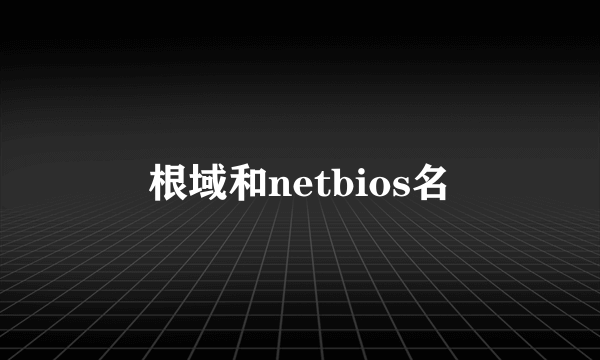 根域和netbios名