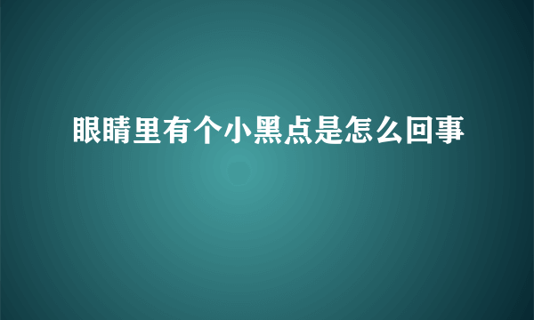 眼睛里有个小黑点是怎么回事