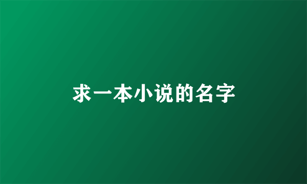 求一本小说的名字