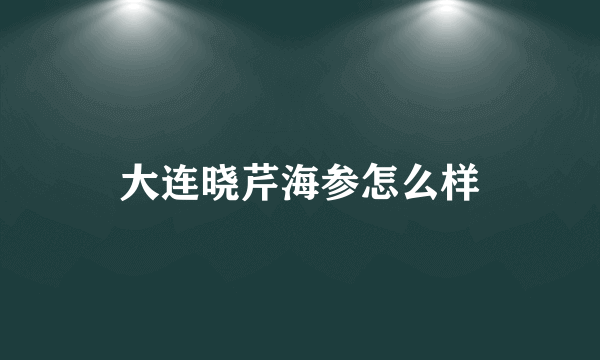 大连晓芹海参怎么样