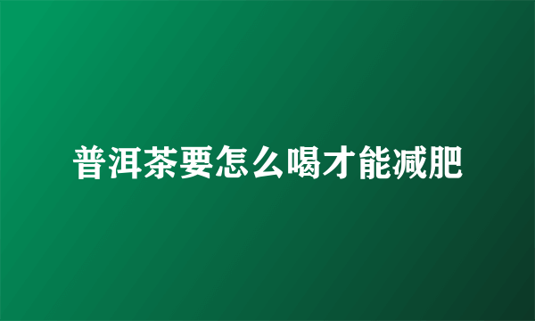 普洱茶要怎么喝才能减肥