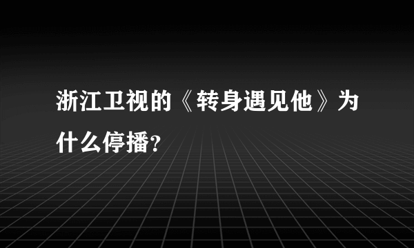 浙江卫视的《转身遇见他》为什么停播？