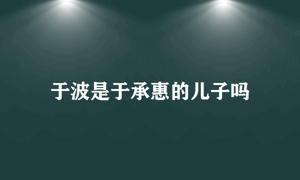 于波是于承惠的儿子吗