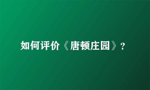 如何评价《唐顿庄园》？