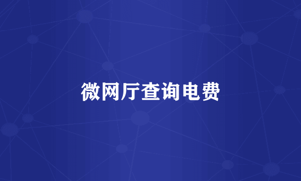 微网厅查询电费
