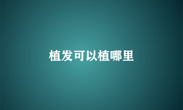植发可以植哪里