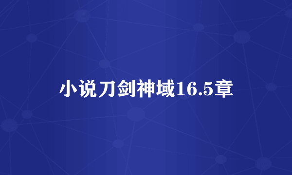 小说刀剑神域16.5章