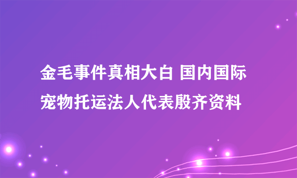 金毛事件真相大白 国内国际宠物托运法人代表殷齐资料