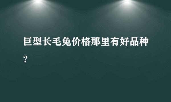巨型长毛兔价格那里有好品种？