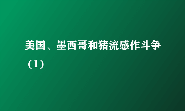 美国、墨西哥和猪流感作斗争 (1)