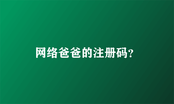 网络爸爸的注册码？
