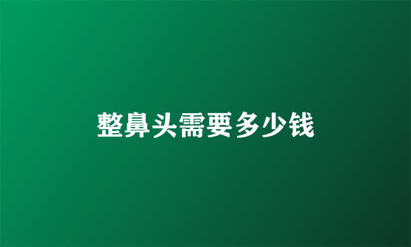 整鼻头需要多少钱