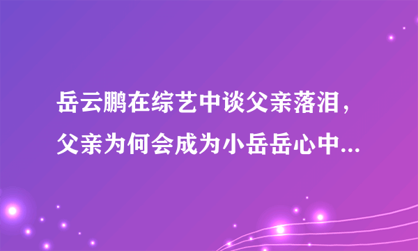 岳云鹏在综艺中谈父亲落泪，父亲为何会成为小岳岳心中永远的痛？