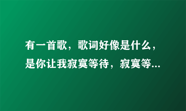 有一首歌，歌词好像是什么，是你让我寂寞等待，寂寞等待，寂寞等待，是什么歌？
