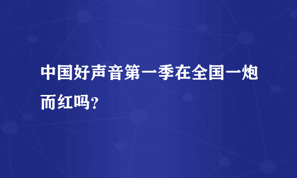 中国好声音第一季在全国一炮而红吗？