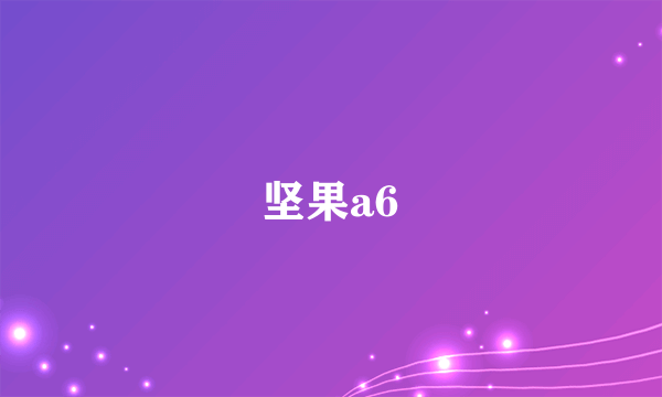坚果a6