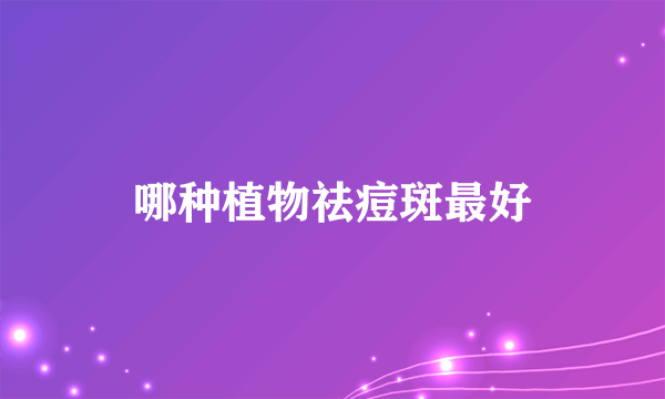 哪种植物祛痘斑最好