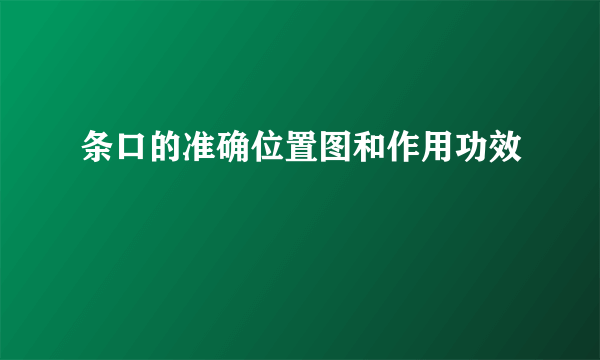 条口的准确位置图和作用功效