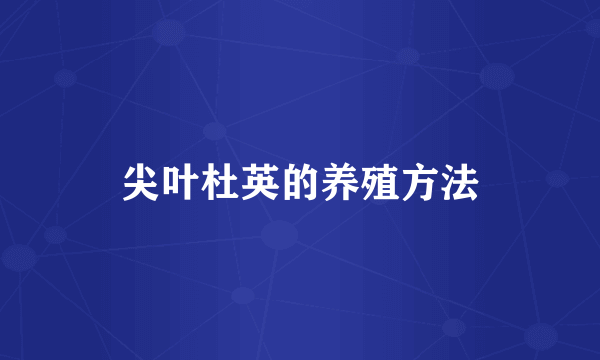 尖叶杜英的养殖方法