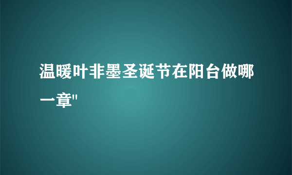 温暖叶非墨圣诞节在阳台做哪一章