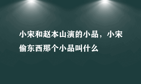 小宋和赵本山演的小品，小宋偷东西那个小品叫什么