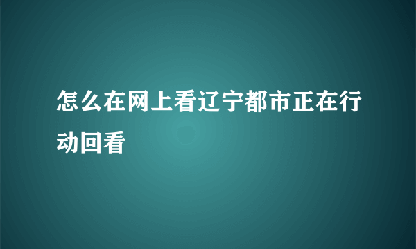 怎么在网上看辽宁都市正在行动回看