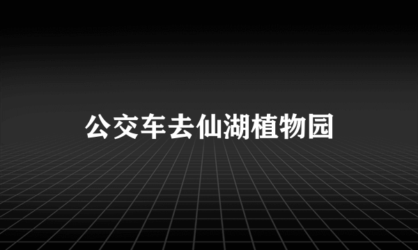 公交车去仙湖植物园