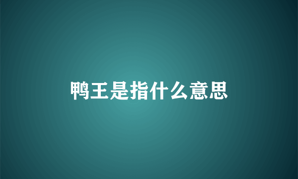 鸭王是指什么意思