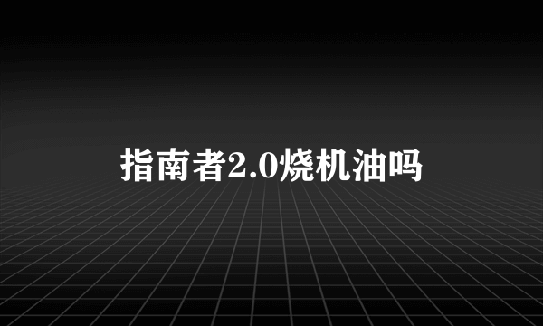 指南者2.0烧机油吗