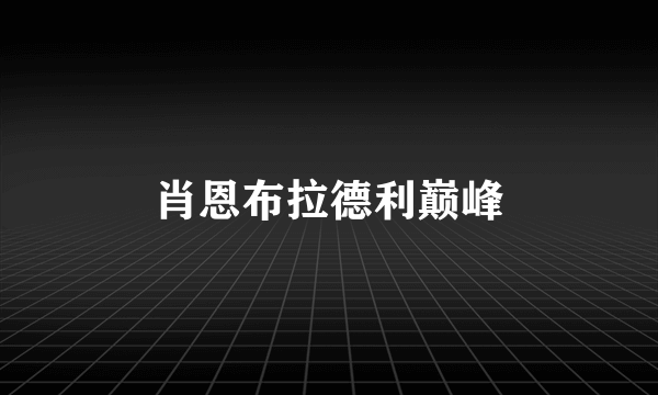 肖恩布拉德利巅峰