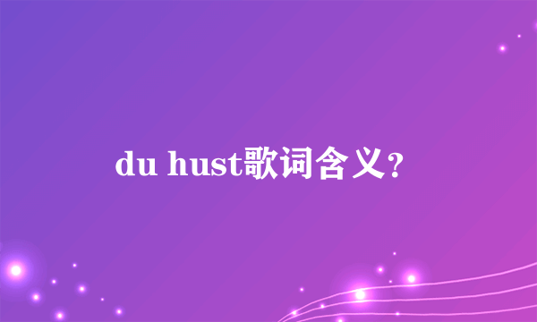 du hust歌词含义？