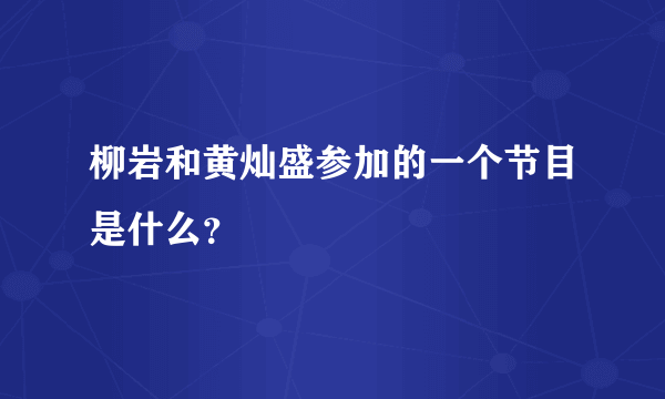 柳岩和黄灿盛参加的一个节目是什么？