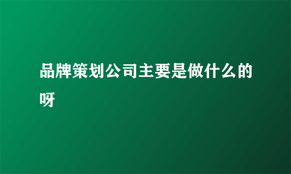 品牌策划公司主要是做什么的呀